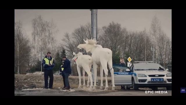 Свингеры!)