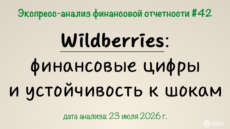 Экспресс-анализ #42: Wildberries - финансовые цифры и устойчивость к шокам