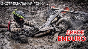 Дикая гонка. Экстремальное ENDURO