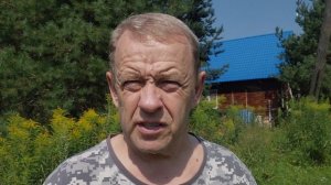 Прополис способы получения и перспективы продаж на профессиональной пасеке