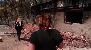 Европа страдает от сильной жары, засухи и пожаров.