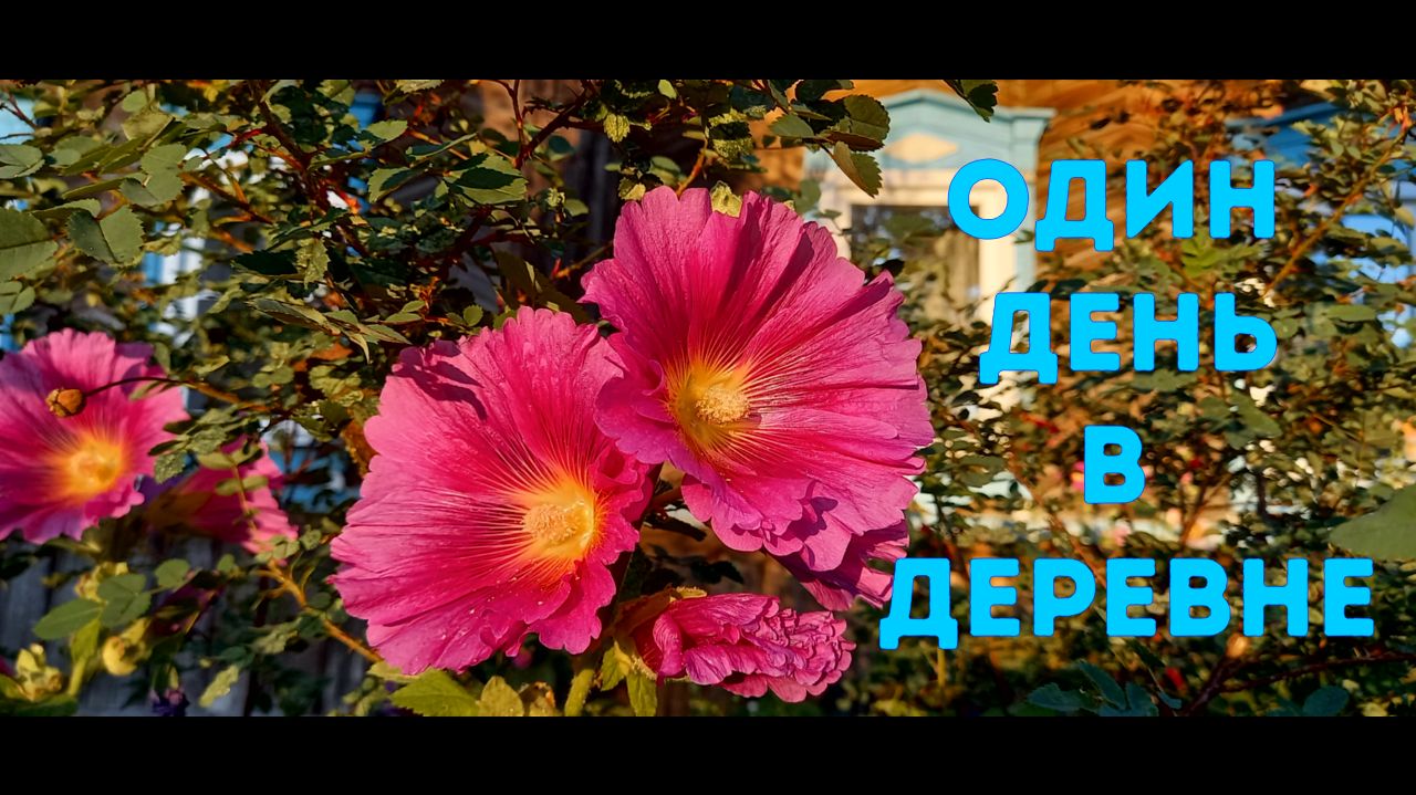 #13. Помидоры-овощи {Пора Домой}