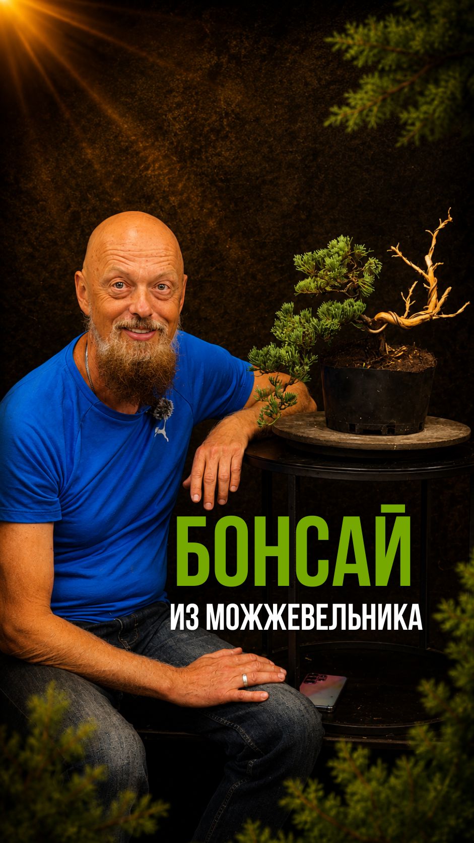 Бонсай из можжевельника