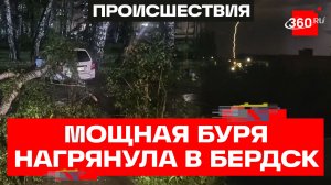 Густая фиолетовая пелена и сильный шторм. Последствия непогоды в Бердске