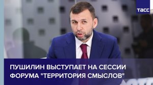 Пушилин выступает на сессии форума «Территория смыслов» в Солнечногорске