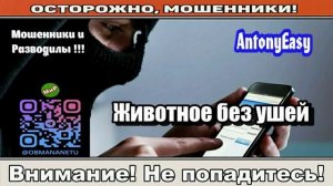 Мошенники звонят по телефону _ Животное без ушей ( сборник ).