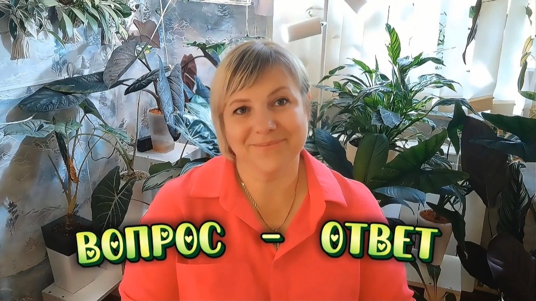 Ответы на ваши вопросы обо мне, моём канале и моих растениях.