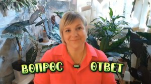 Ответы на ваши вопросы обо мне, моём канале и моих растениях.