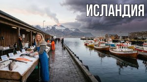 Жизнь в Исландии | Как живут люди в стране без комаров, преступности и фамилий | 4K