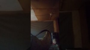 собираем симочку на прогулочьку 
❤️❤️❤️❤️❤️❤️❤️❤️❤️❤️❤️❤️❤️