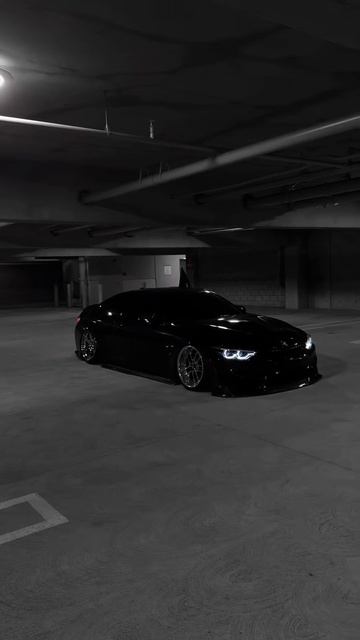 L1nesh-edit