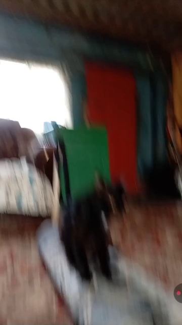Васка маряк