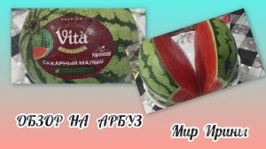ОБЗОР НА АРБУЗ  🍉 🍉 🍉