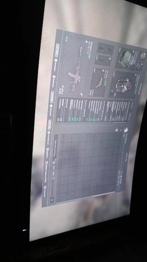 играем сталзону