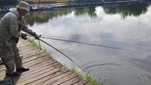 Очередная поимка Карпа