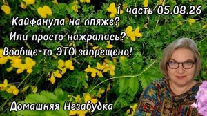 1 часть. Гаврила кайфанула на пляже 🌴 ❓️Или просто НАЖРАЛАСЬ🥂❓️Вообще-то ЭТО запрещено☝️❗️