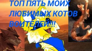 Топ 5 моих любимых Котов Воителей!💖