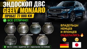 Эндоскоп Двигателя Geely Monjaro с пробегом 77000 км. Все в хлам? Капиталка на подходе?Как бы не так