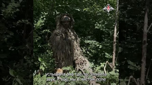 Баста!Благодаря ей у хозяина есть Орден Мужества!