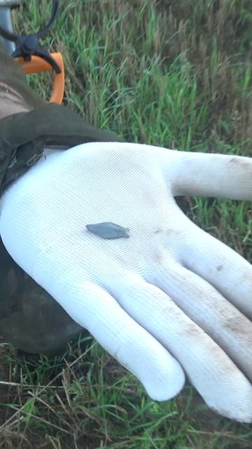 Нашли гусиную лапку shorts нашли домонгол поискстарины  metaldetecting