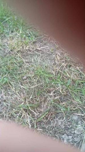 ищу друзей в рб и подписчиков