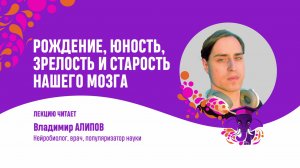 Рождение, юность, зрелость и старость нашего мозга. Владимир Алипов