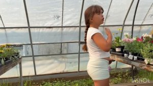 Едем на дачу