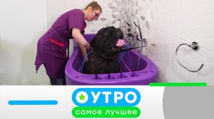 «Утро. Самое лучшее»: 5 августа  2026 года