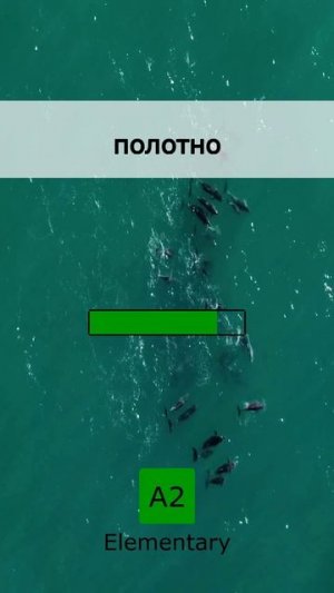 ☕️ Английский за чашкой кофе: A2 (05 August 2026)