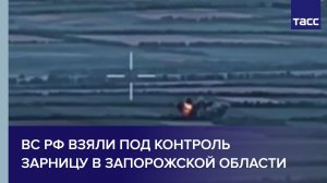 ВС РФ взяли под контроль Зарницу в Запорожской области