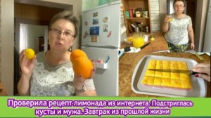 Проверила рецепт лимонада из интернета. Подстригла кусты и мужа. Завтрак из прошлой жизни