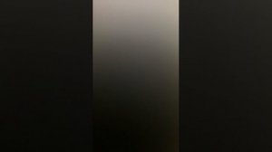 Нерпарорр