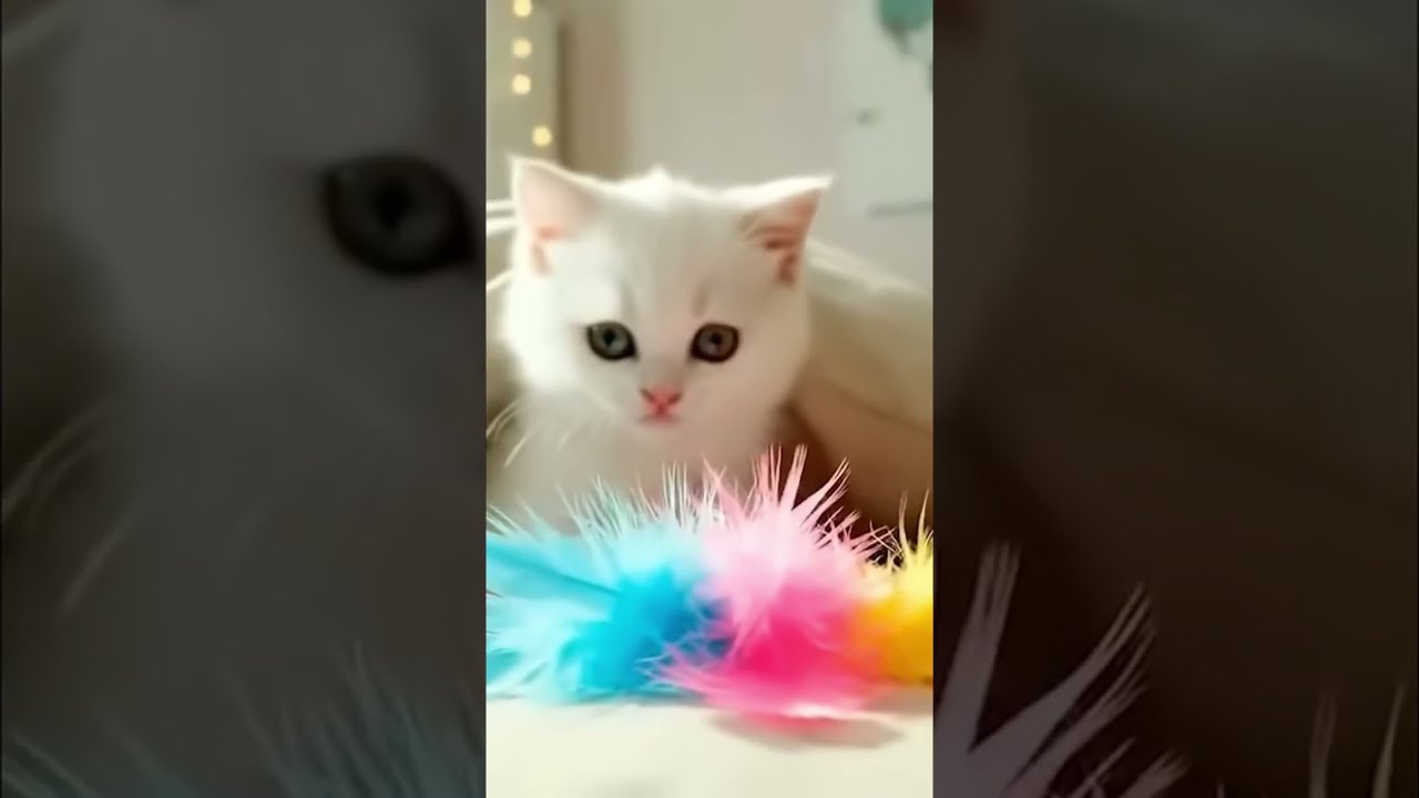 Котёнок не хочет вставать, зато цветные перья уже ждут, чтобы начать игру и поднять настроение