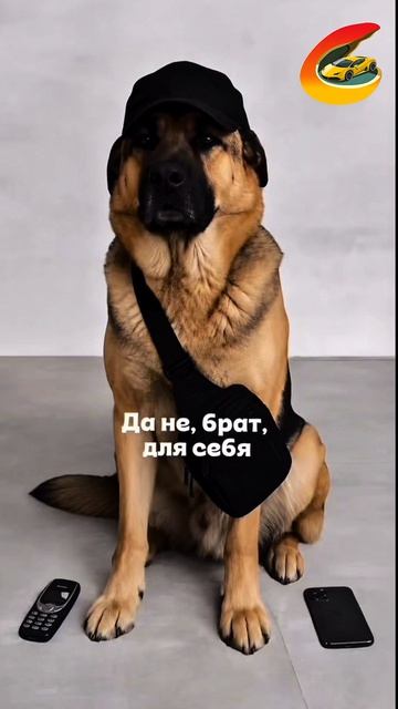 ☎️Успейте записаться: +7 (846) 225-05-50.  📍Адрес:Ракитовское шоссе, 52Б (территория АЗС ОЛВИ)