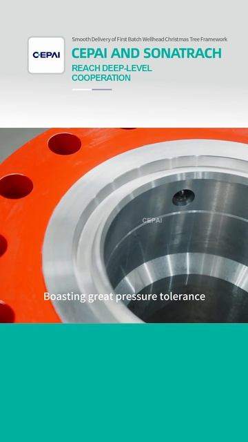 CEPAI Group Has Established In-depth Strategic Cooperation With SONATRACH-CEPAI