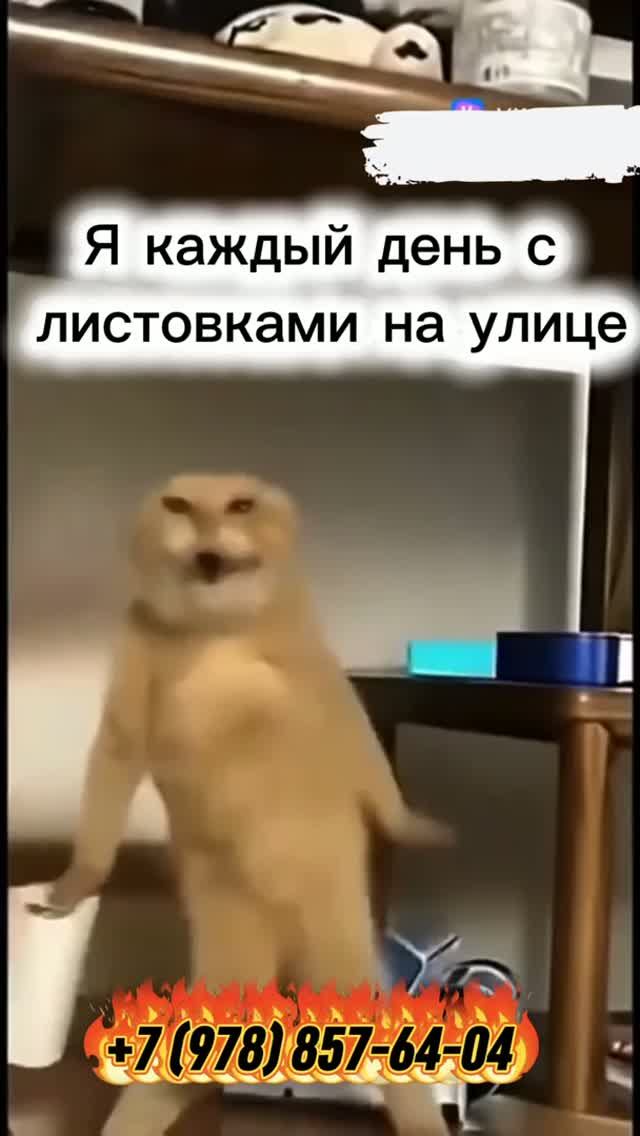 #Агентство Херсонес #Недвижимость #Севастополь (chersonese.ru )