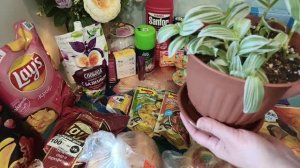 Покупки и заказы в начале июня 2026 года.👍🛍️🌞