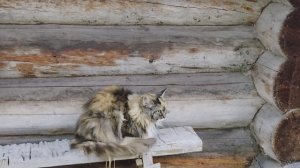Приятная встреча.