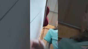 выпускаю котят на улицу и показываю их