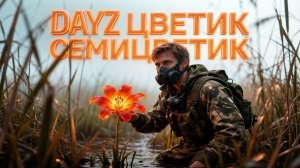 MAGNUS STALKER PVE | DAYZ | ЦВЕТИК СЕМИЦВЕТИК #18