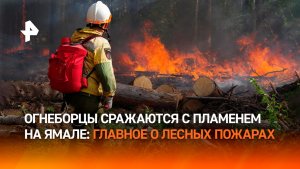 Пожарные неделями живут в горящей тайге, сражаясь с огнем на Ямале