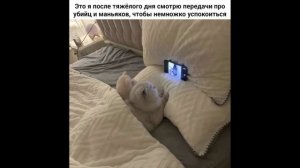 Разговоры  коллекторами 148