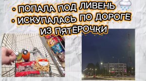 Сбегала в Пятёрочку и попала под ливень 🌧️ Тёплый дождь, тёмное небо и мокрые пакеты