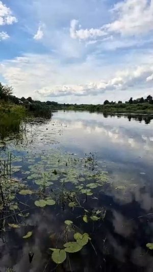 Кормлю рыбок в реке