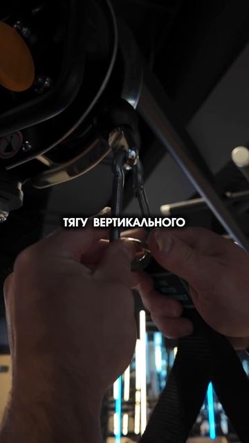 МОЙ BACK DAY
