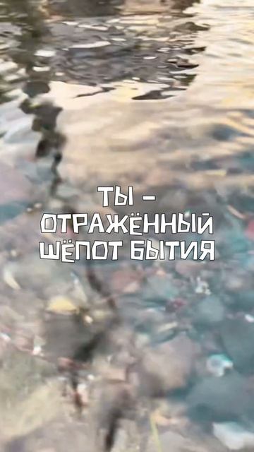 Историю про вопрос !