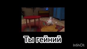Биба RYTP