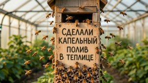ПРИЛЕТЕЛ ТРЕТИЙ РОЙ ПЧЕЛ. СДЕЛАЛ КАПЕЛЬНЫЙ ПОЛИВ ВО ВТОРОЙ ТЕПЛИЦЕ. 2026-06-10