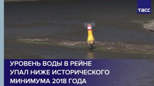 Уровень воды в Рейне упал ниже исторического минимума 2018 года