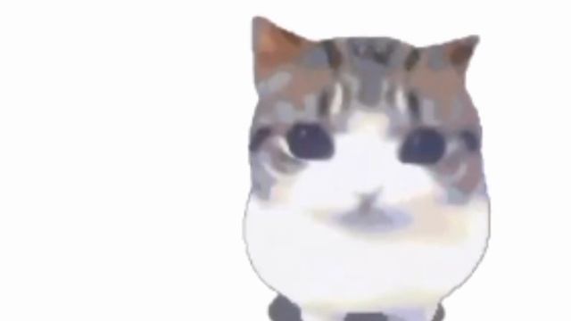 #MEMECAT ПЛЕЙЛИСТ